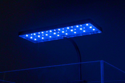 Aqua Worx EOS LED Light N7 RGB