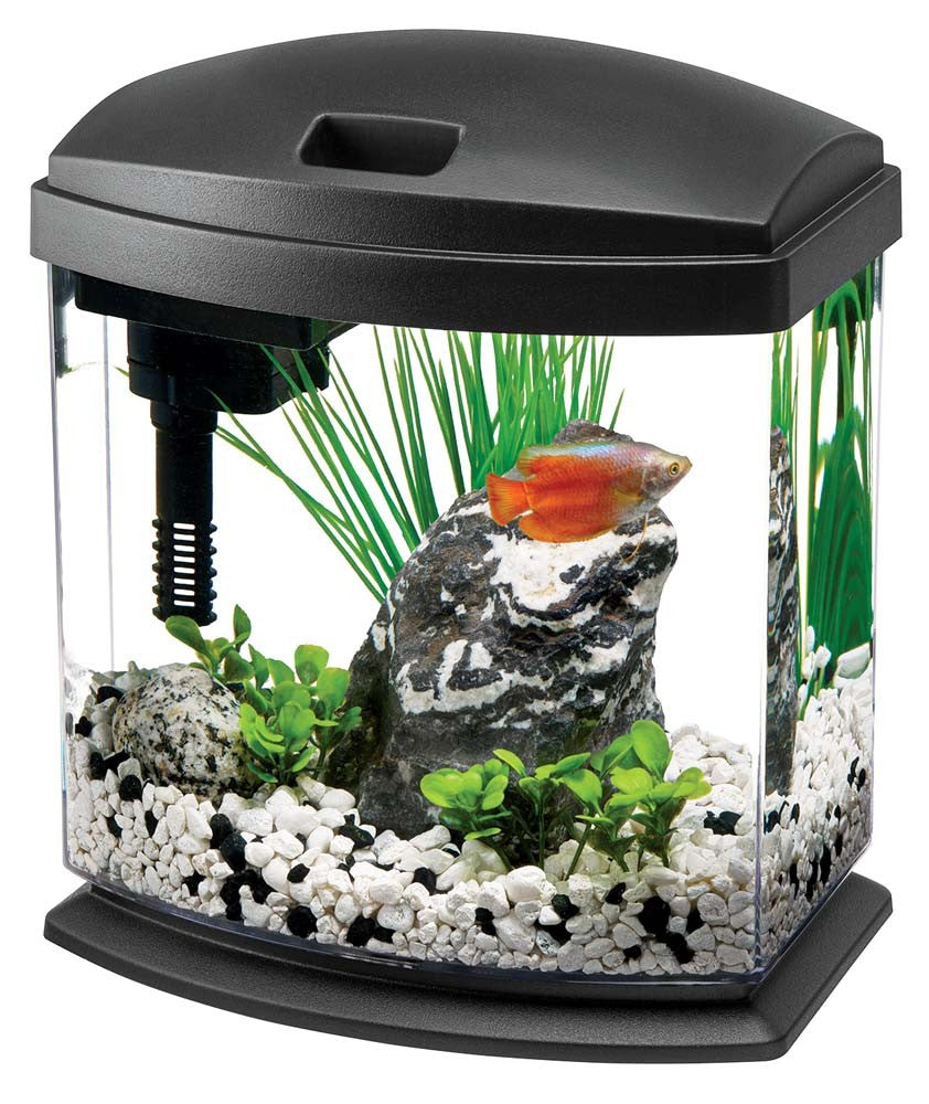 Aqueon MiniBow Aquarium Kit – Bay Bridge Aquarium