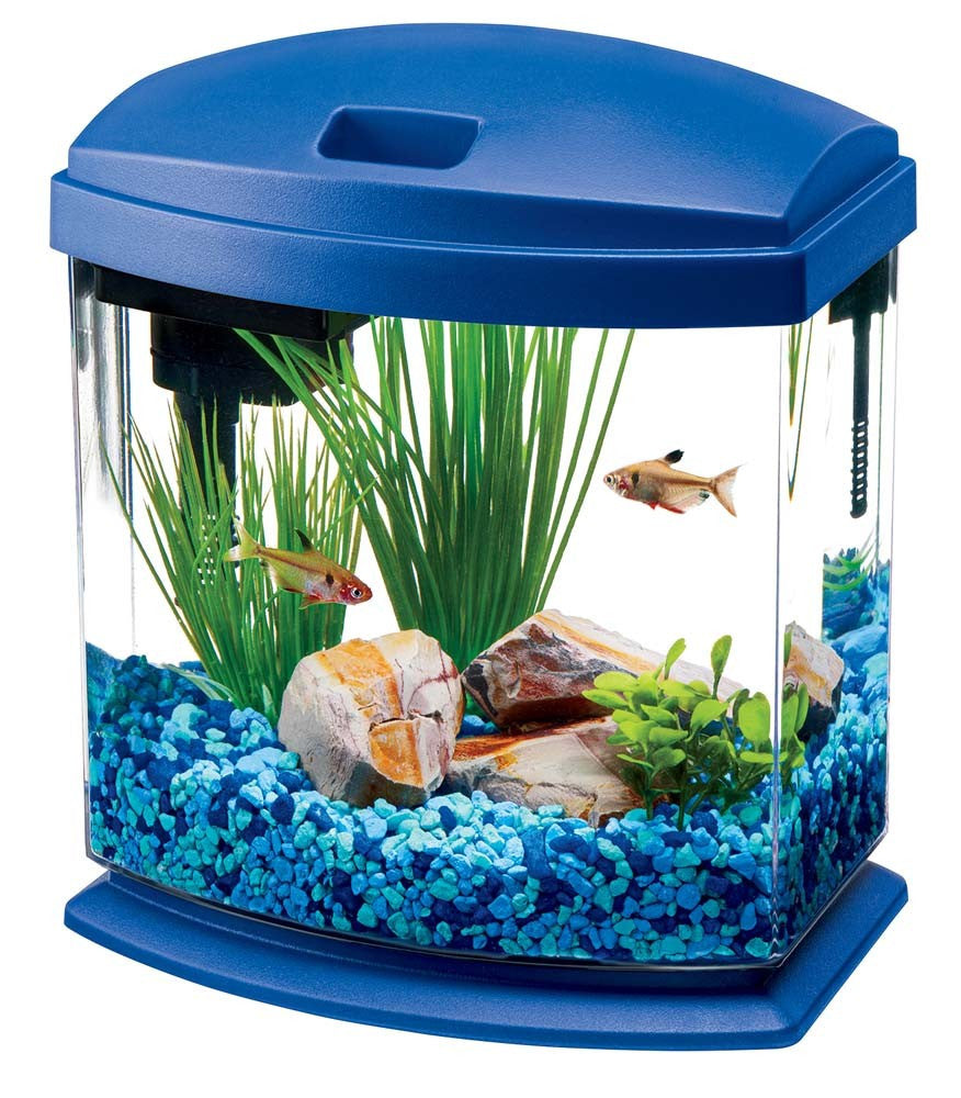 Desk Petco Small Aquarium Petco 38 Gallon Tank Shop
