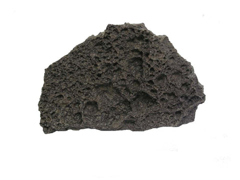 RockGarden Lace Rock - Bay Bridge Aquarium and Pet