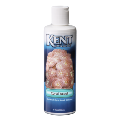 Kent Marine Coral Accel - Bay Bridge Aquarium and Pet