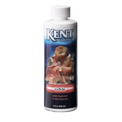 Kent Marine Iodide Supplement - Bay Bridge Aquarium and Pet