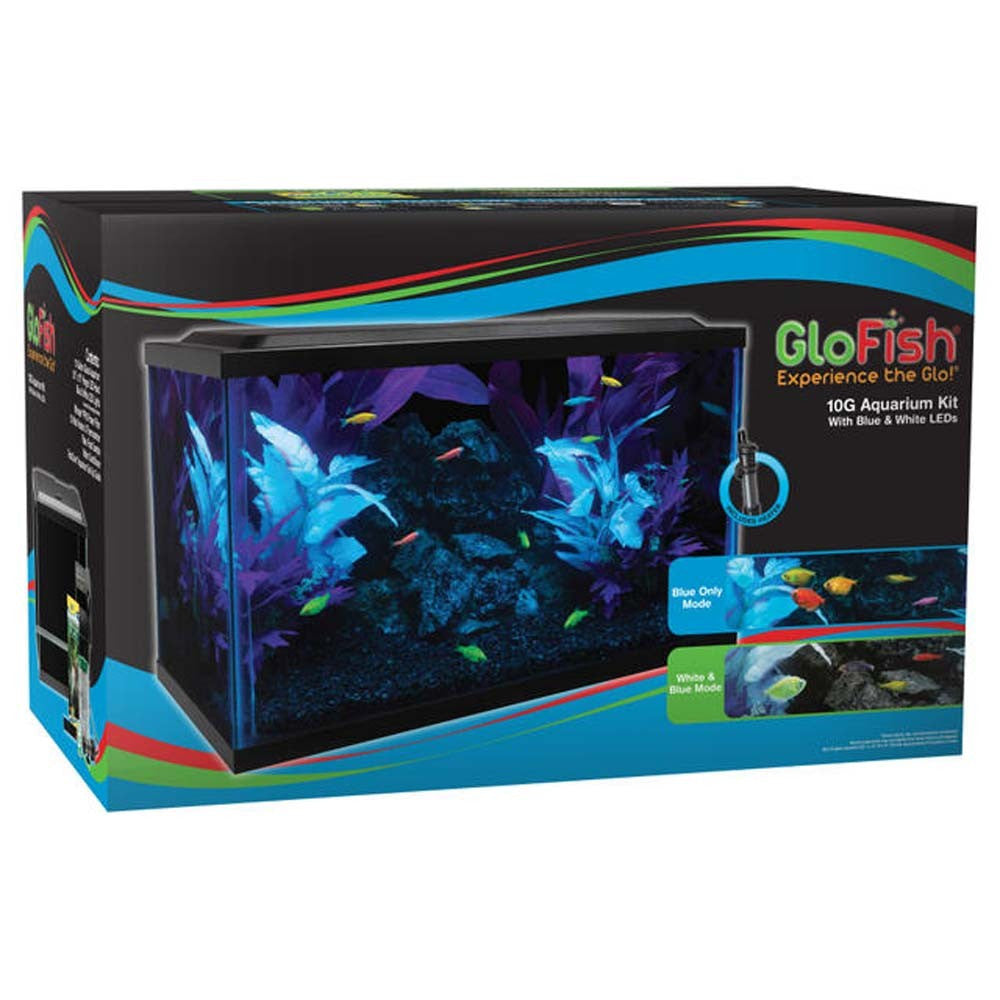 Glofish 10 gallon aquarium kit shop