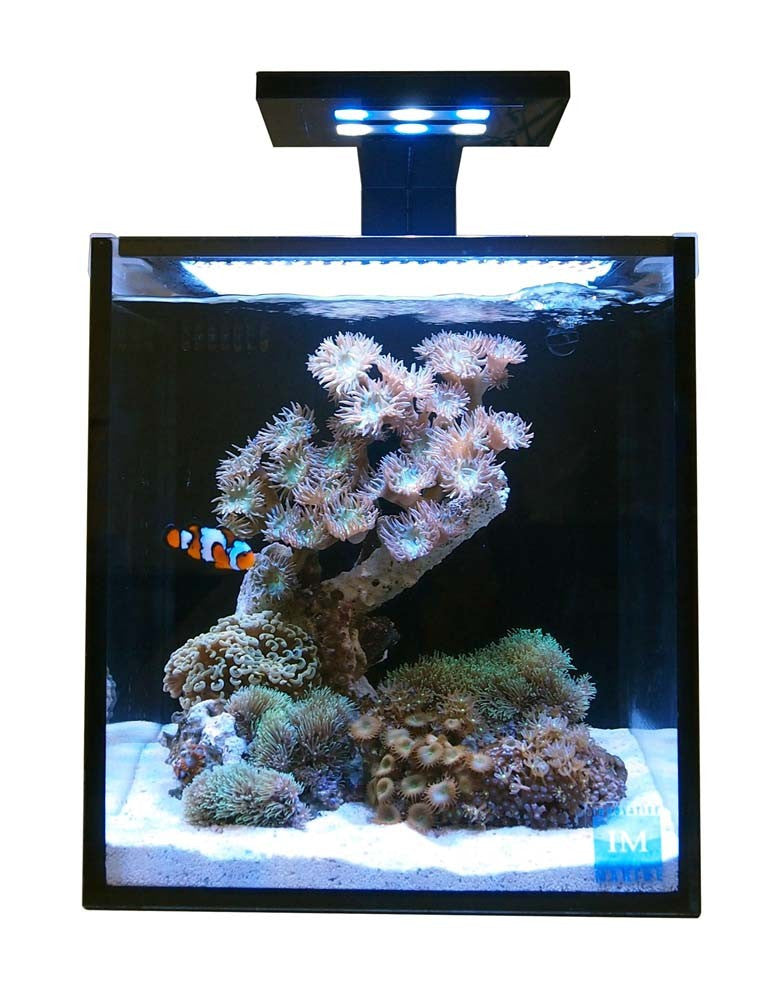 Innovative Marine NUVO Aquarium - Fusion Nano 10 – Bay Bridge Aquarium