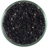 CaribSea Arag-Alive Hawaiian Black - Bay Bridge Aquarium and Pet