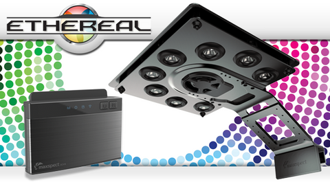 Maxspect Ethereal 130W+ICV6 Bundle Package - Bay Bridge Aquarium and Pet