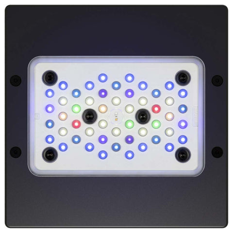 Radion XR15 G5 Blue LED Light Fixture