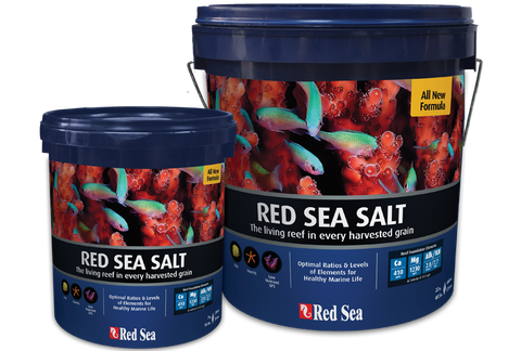 Red Sea Salt