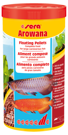 Sera Arowana