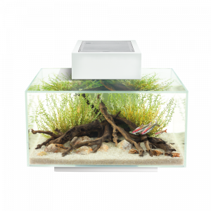 Fluval Edge Aquarium Kit. 6 US Gal. ( 23 L ), White