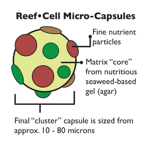 New Life Spectrum CELL Formula