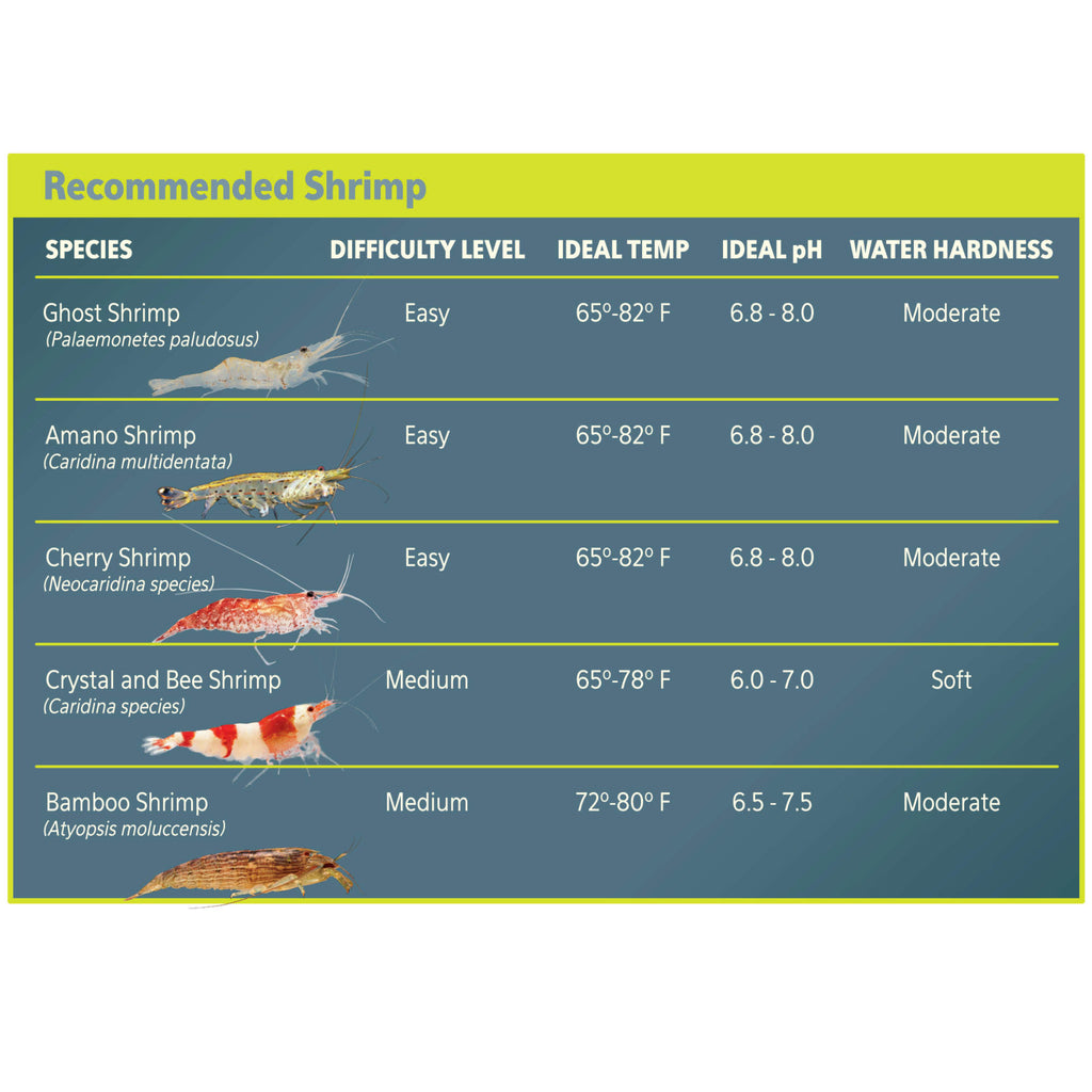 Aqueon 7.5 shrimp tank Clearance