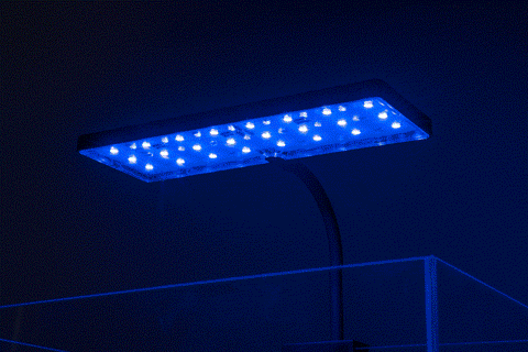 Aqua Worx EOS LED Light - N7, RGB