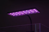 Aqua Worx EOS LED Light - N5, RGB or White