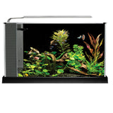 Fluval Spec Aquarium Kit 5 US Gal (19 L)