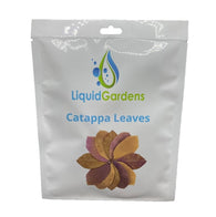 Liquid Gardens Catappa Leaves