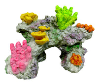 Marina Coral Reef Rock