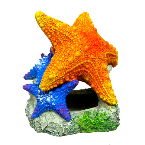 Marina Sea Star Duo