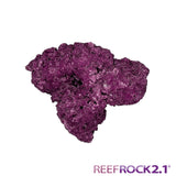 Fiji Reef Rock