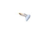 Albino Full Platinum Guppy
