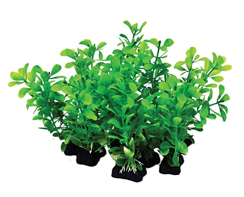 Aquatop Aquarium Plants Mix Green