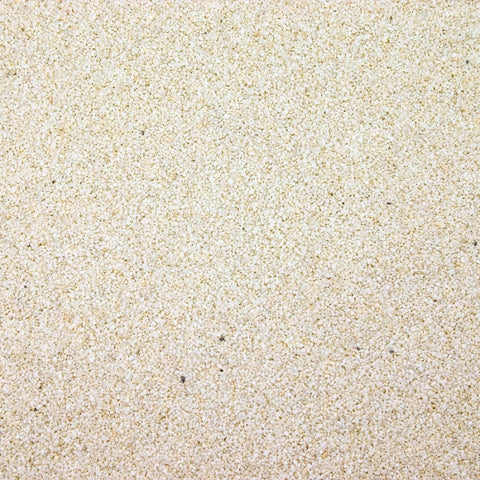 CaribSea Sand Reef White 5lb