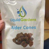 Liquid Gardens Alder Cones 25pk