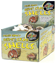 Zoo Med Hermit Crab Decorative Shell Fancy Shell, Assorted - Bay Bridge Aquarium