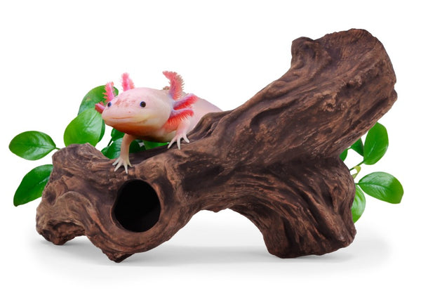 Aquavitro Ceramic Hides Aquatic Ornament