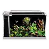 Spec Aquarium Kit, 5 US Gal / 19 L