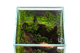 UNS Tank Lid With Plastic Clips 16C-16S-16T