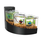 Aqueon Betta Falls Aquarium Kit - Bay Bridge Aquarium and Pet