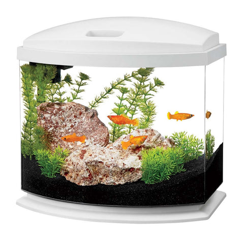 Aqueon Mini Bow 5.0 - Bay Bridge Aquarium and Pet