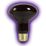 Zilla Incandescent Spot Bulb - Bay Bridge Aquarium and Pet