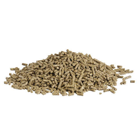 Zilla Reptile Bedding Litter Bay Bridge Aquarium