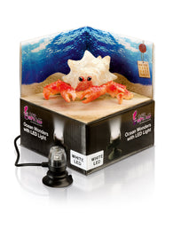 H2Show Ocean Wonders Hermit Crab & White LED Light - Bay Bridge Aquarium and Pet