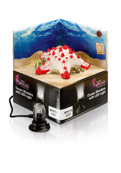 H2Show Ocean Wonders Starfish & White LED Light - Bay Bridge Aquarium and Pet