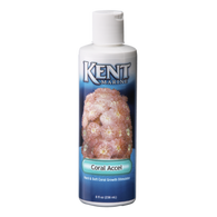 Kent Marine Coral Accel - Bay Bridge Aquarium and Pet