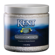 Kent Marine Phosphate Sponge - Bay Bridge Aquarium and Pet