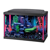 Aqueon NeoGlow LED Aquarium Kit - Bay Bridge Aquarium and Pet