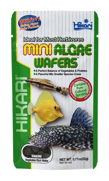 Hikari Mini Algae Wafers