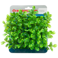 Marineland Boxwood Plant Mat