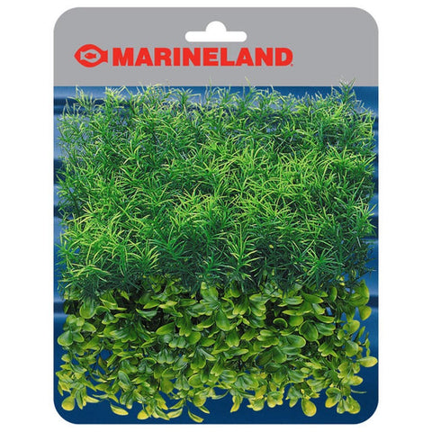 Marineland Springiri & Boxwood Plant Mat