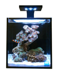 Innovative Marine NUVO Aquarium - Fusion Nano 10 - Bay Bridge Aquarium and Pet