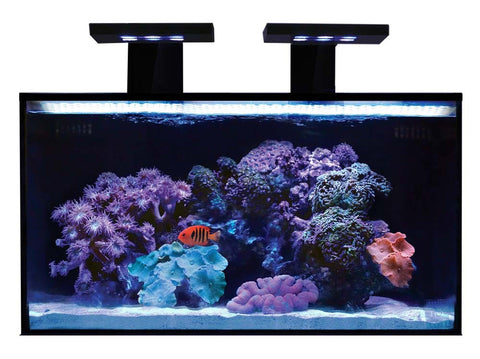 Innovative Marine NUVO Aquarium - Fusion Nano 20 - Bay Bridge Aquarium and Pet