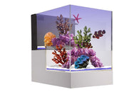 Innovative Marine NUVO Concept - ABYSS Peninsula Kit - Bay Bridge Aquarium and Pet