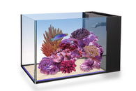 Innovative Marine NUVO Aquarium -  Fusion Peninsula 14 - Bay Bridge Aquarium and Pet