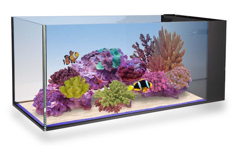 Innovative Marine NUVO Aquarium - Fusion Peninsula 20 - Bay Bridge Aquarium and Pet