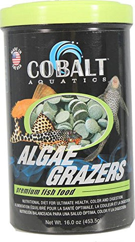 Cobalt Algae Grazers - Bay Bridge Aquarium and Pet
