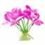 Marina Betta Pink Orchid 2.75in